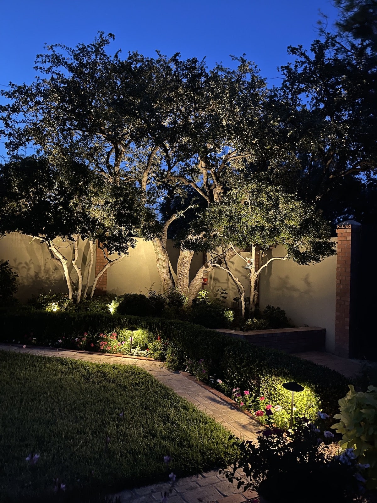 landscape lighting for a walkway of a home. the trees and fence are lit up